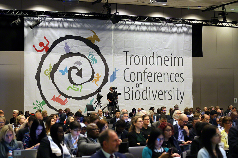 image Conférence sur la biodiversité de Trondheim (Norvège) Débattre du cadre mondial pour la biodiversité